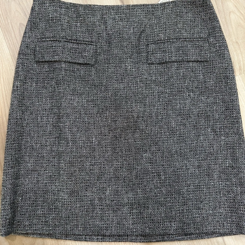 Ann Taylor skirt